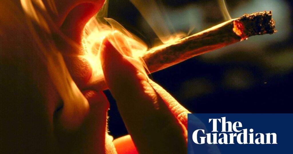 Should London follow New York and decriminalise cannabis?