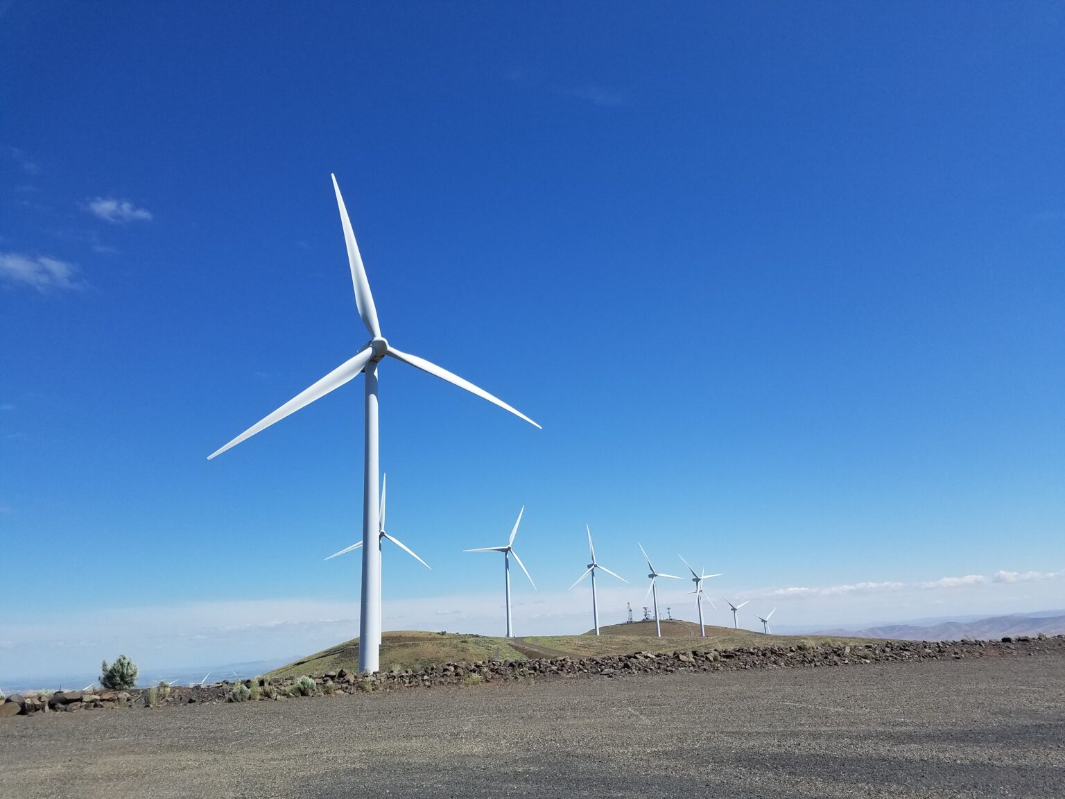 June 30 - Environmental studies released for clean energy projects