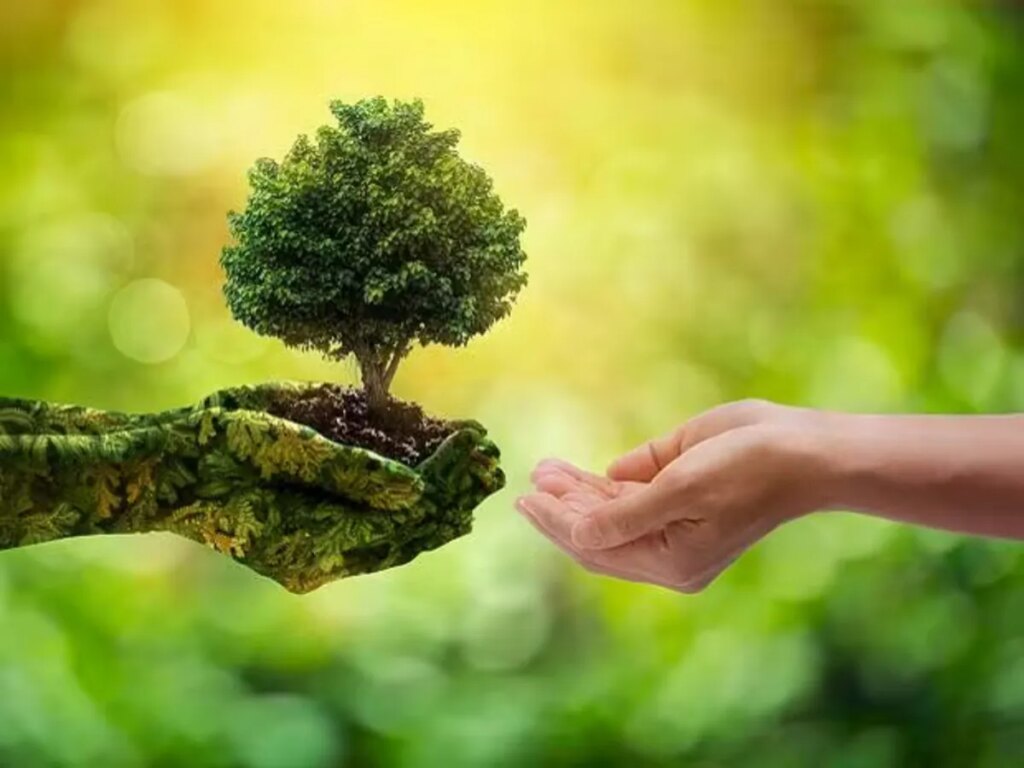 World Environment Day 2025: 'My pen faints for the earth'