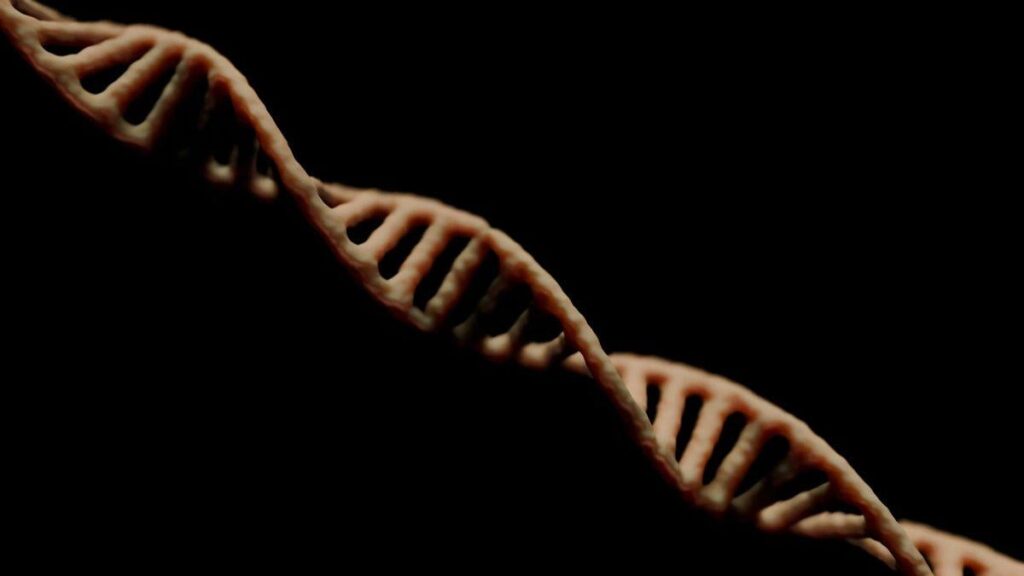 Chinese scientists discover genetic switch for organ regeneration in mammals