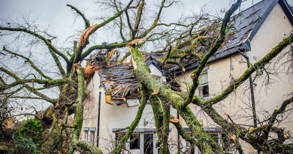 Communications, transport and health of older people at increased risk from global warming, says EPA – The Irish Times