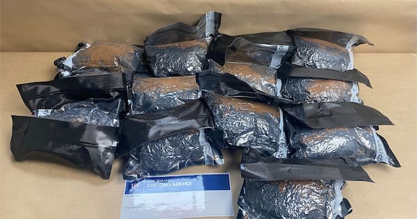 Teen arrested after 15kg of meth, cocaine found in luggage at airport