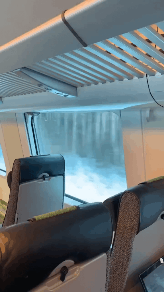 All the trains in Finland have in common with our - maybe you will come across a mole 🤗