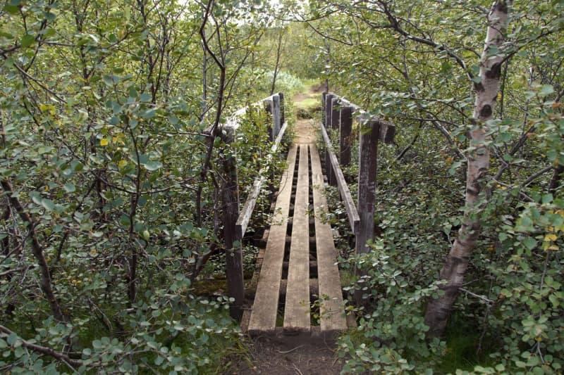 Wild sights await those who hike in Iceland. Finn Huwald/dpa-tmn