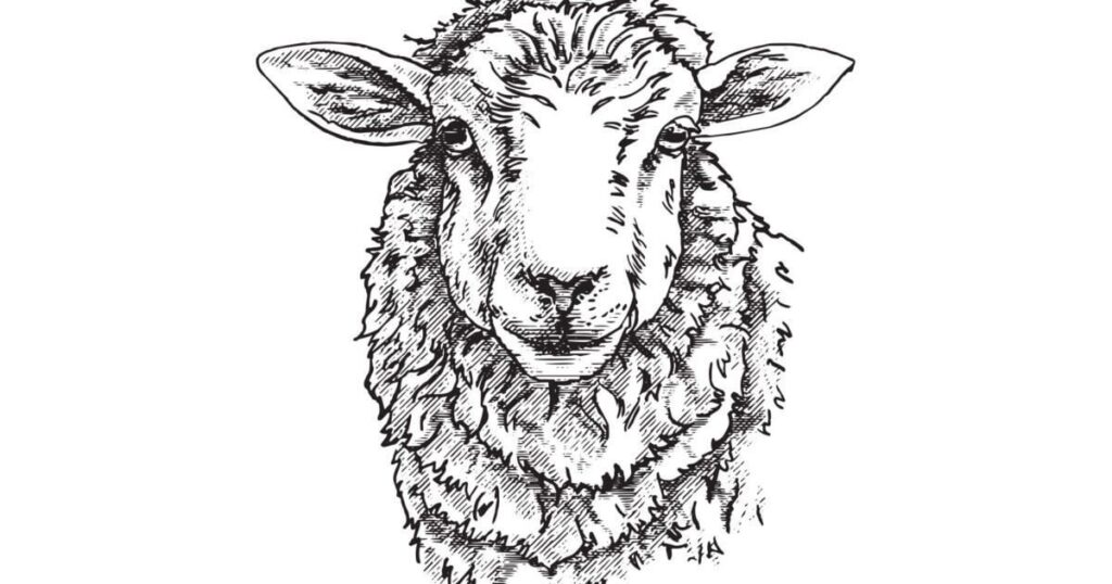 OPECEPE case: Ten years of "patents" to graze euro