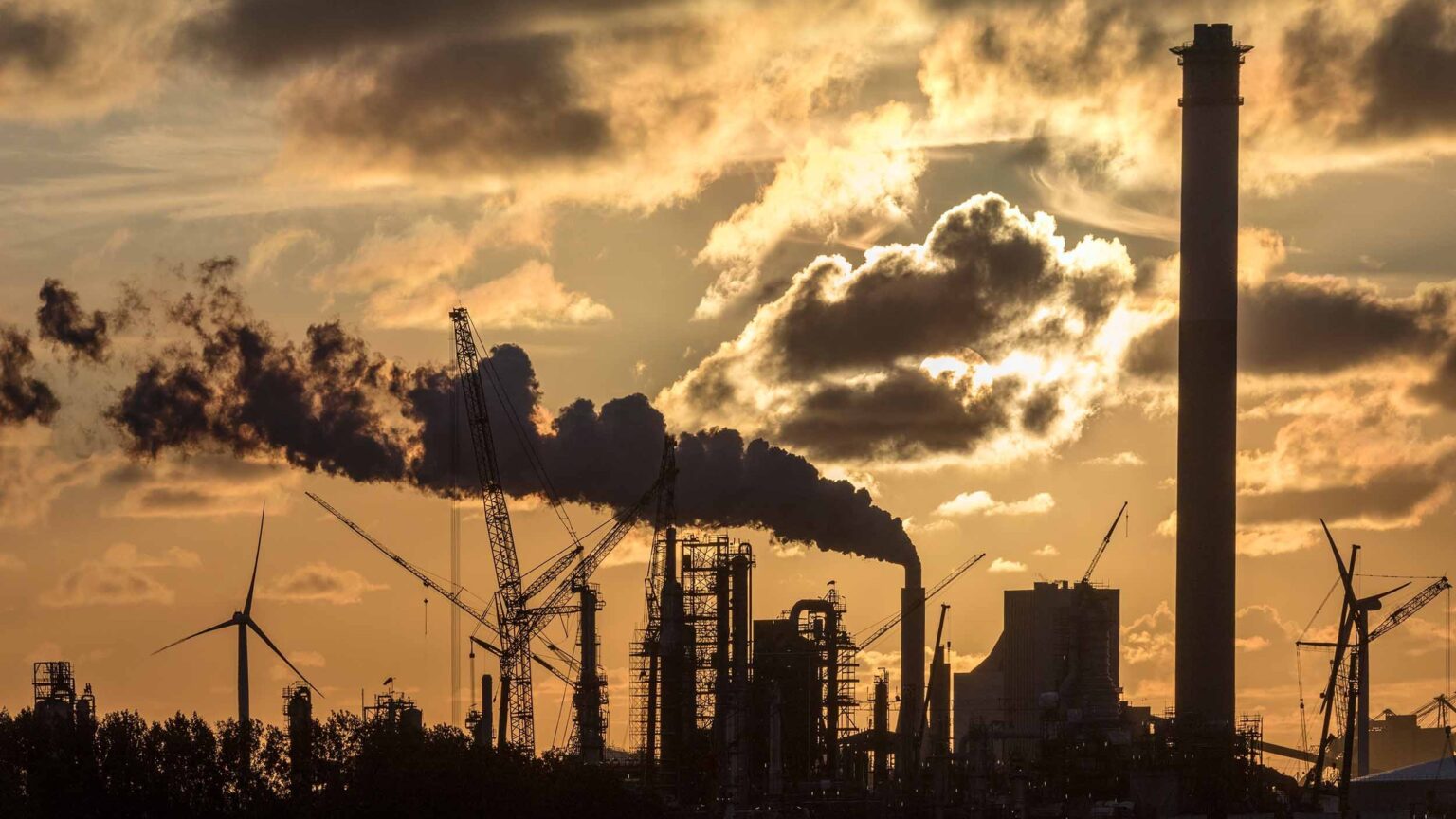 UK on track for ‘disorderly’ transition as companies delay climate action, study finds