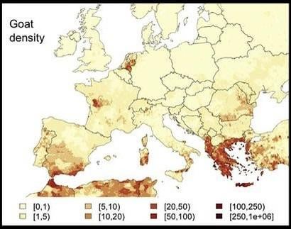Why is the number of goats so high in the Balkans compared to the rest of Europe?