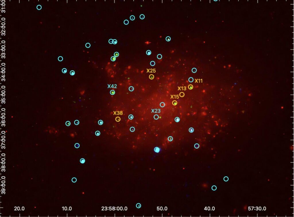 Four new X-ray supernova remnants detected in the galaxy NGC 7793