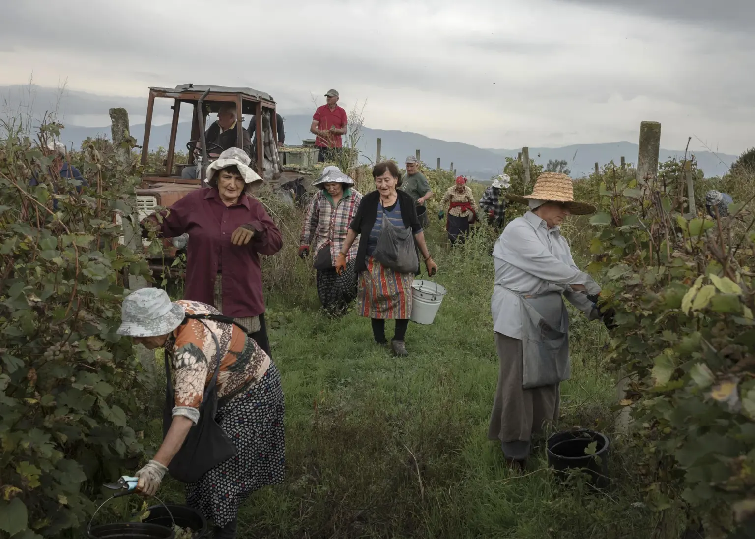 Long tied to Russia, Georgia’s winemakers tip a glass to the West