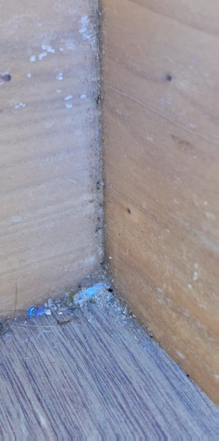 Tiny bugs... how to get rid of them?