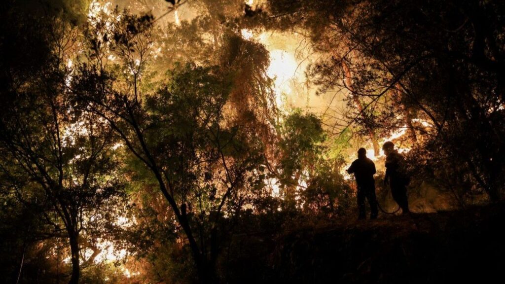 HARD NUMBERS: Wildfires in Greece, Shootings at Gaza aid point, and more