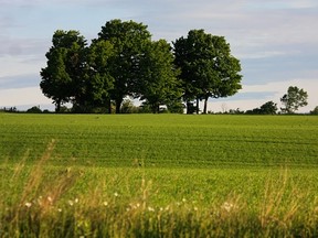 Ontario environment