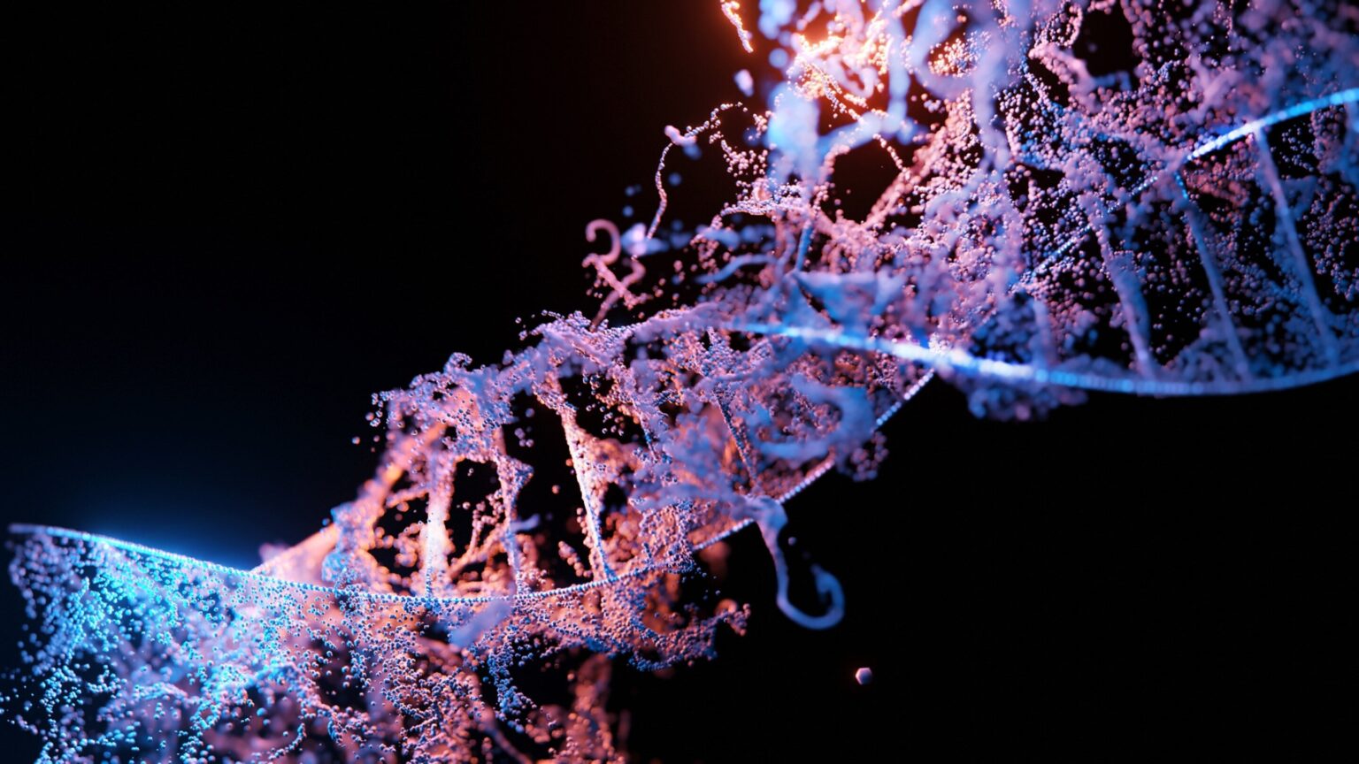 CRISPR gene editing in blood stem cells linked to premature aging effects: Study offers solutions