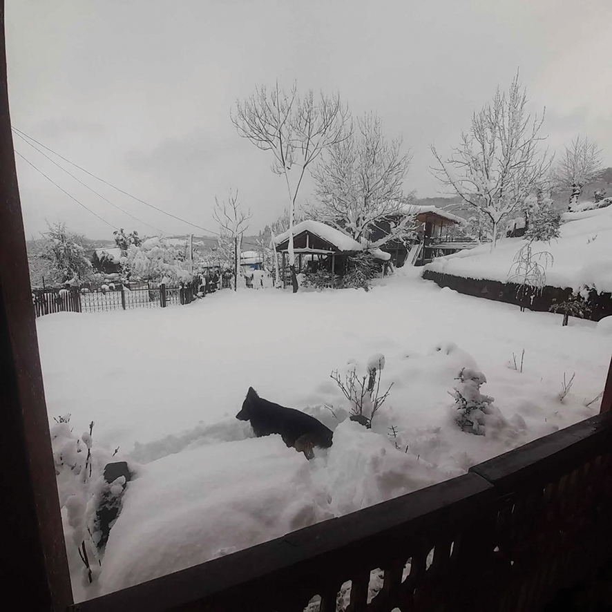 A view from a house in Guria. Source: FB