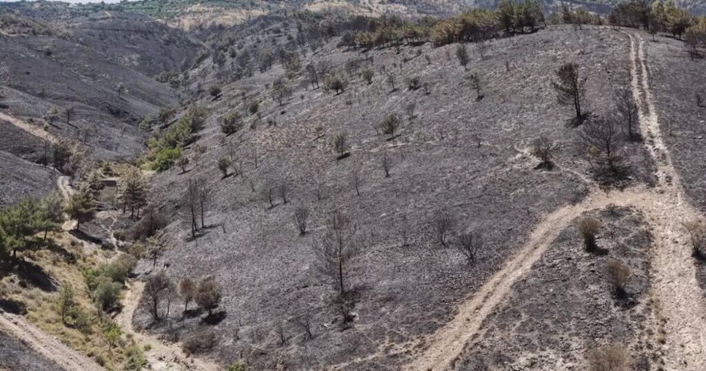 Fire in Chios: The size of the disaster - ash became 62,000 acres of greenery