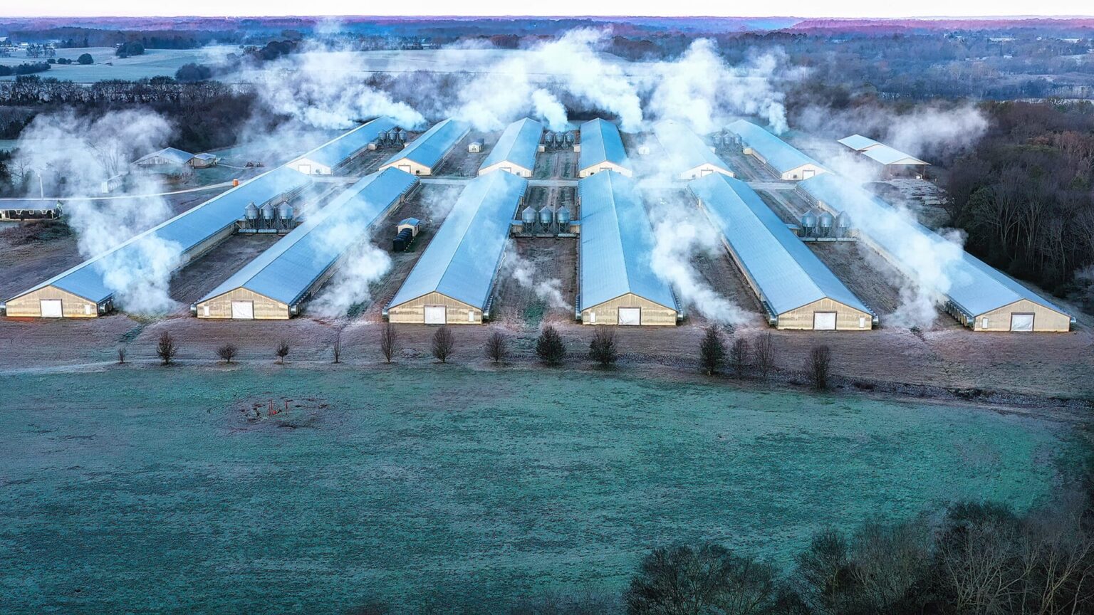 mega farm