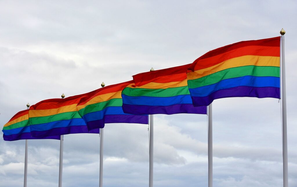 Legal proceeding initiated against Russia activist amid LGBTQA+ crackdown - JURIST