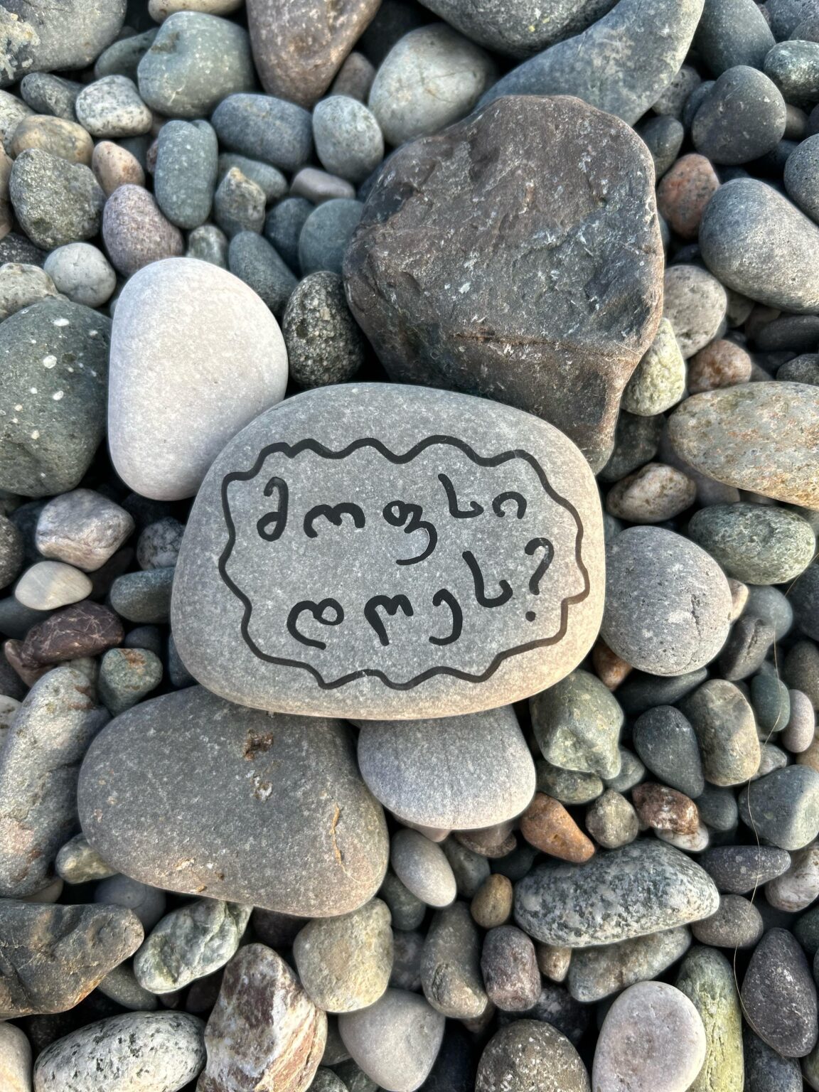 Can someone please translate?