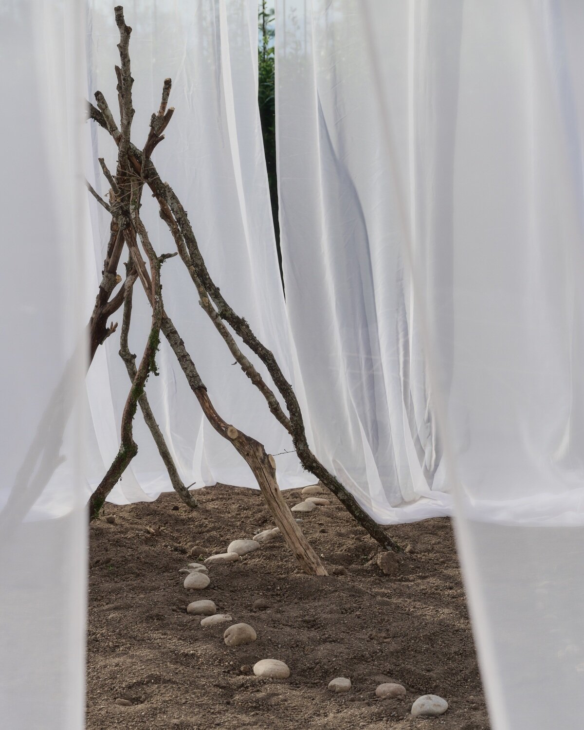 translucent drapes encircle forest floor for nami nami's concéntrico installation in spain