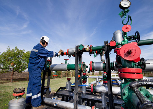 Anaergia to Build Biogas Facility on South Korea’s Jeju Island in $29 Million Deal