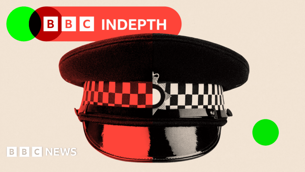 The families paying £1,500 for 'private bobbies' to police their homes