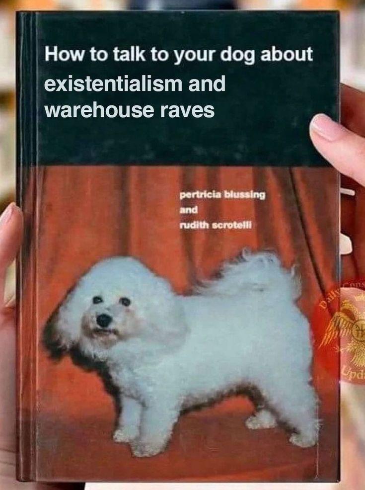 What are we reading in the lately?