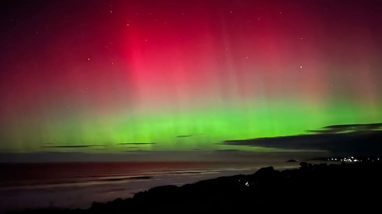 Photo taken from Kuri Bush, Dunedin.
