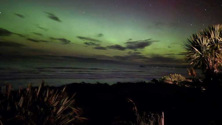 Photo taken in Dunedin.
