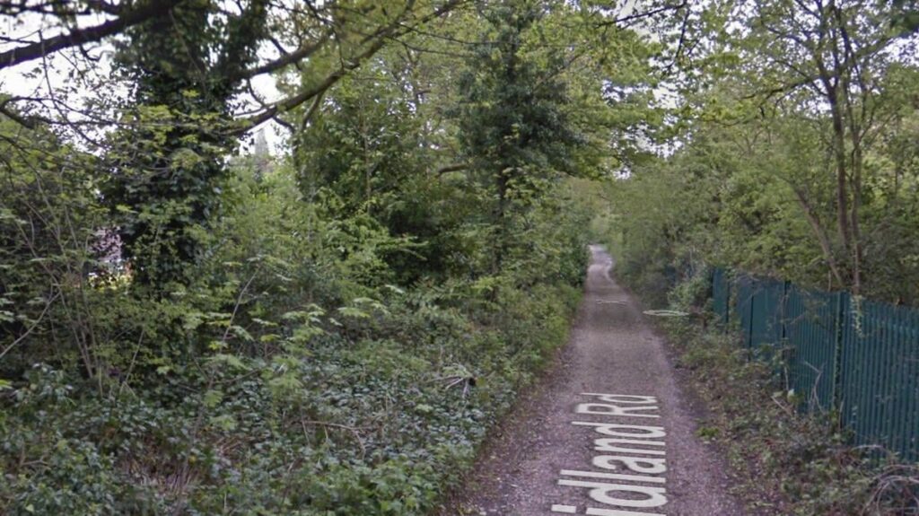 Elderly woman left ‘bleeding from the head’ after alleged park attack by 'group of girls'