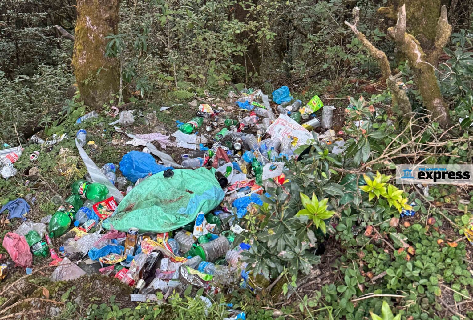 Legal experts unite to address plastic pollution on World Environment Day