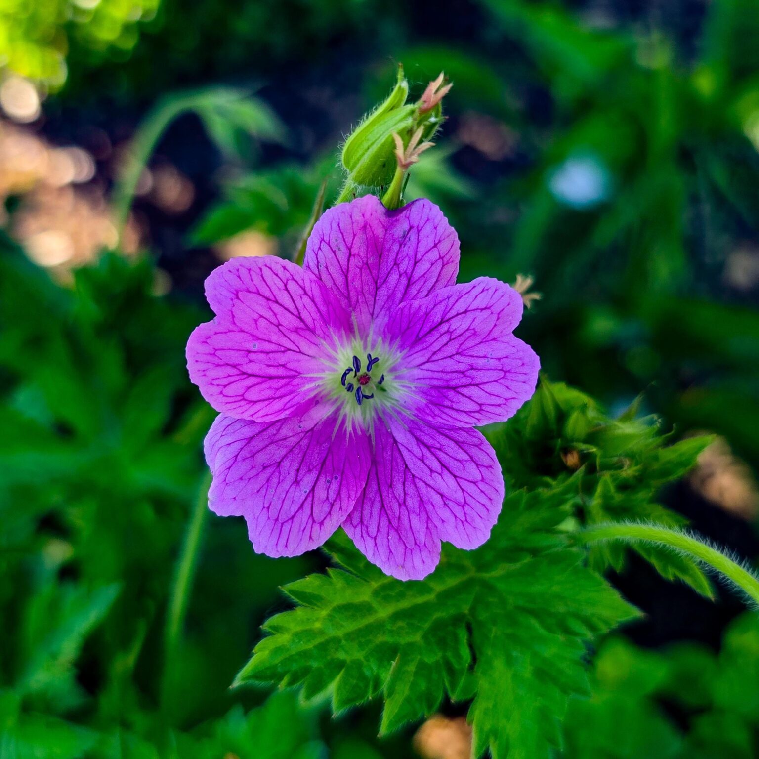 Just basking in the colors this time of year!