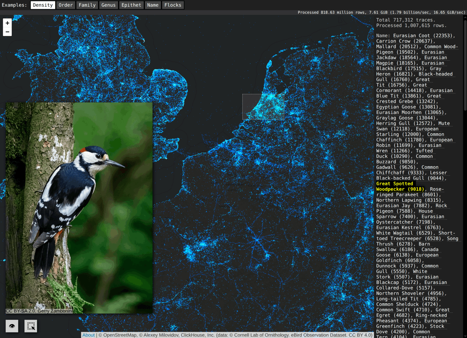 [OC] I created an interactive map of birds