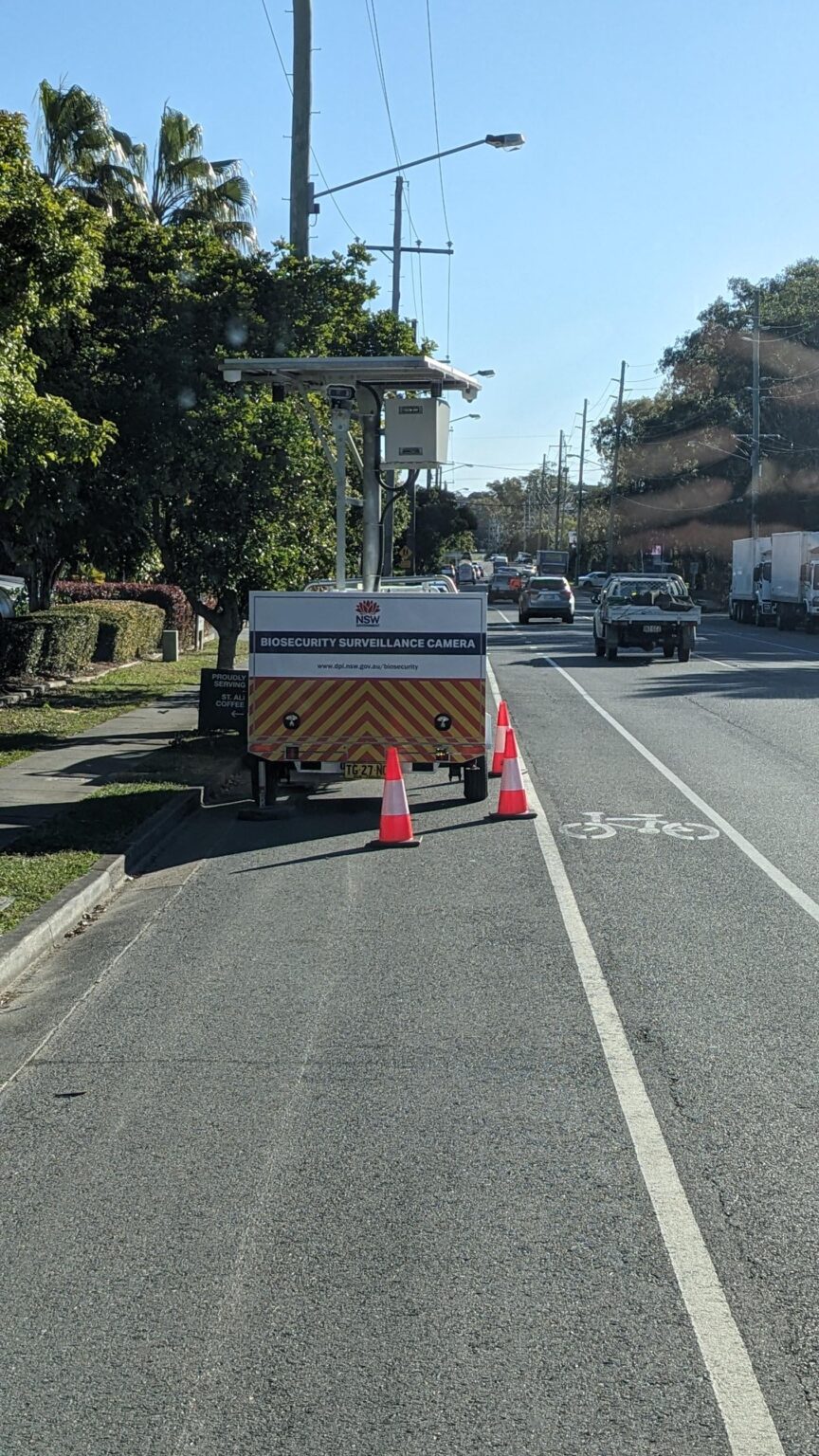 NSW biosecurity camera set up in Brisbane?