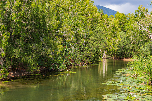 Protecting aquatic ecosystems by better understanding toxicity risk - UQ News