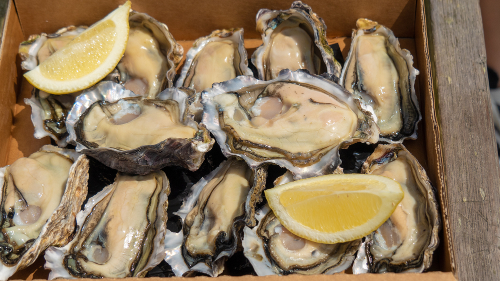 New Zealand Fishermen Fined for Selling Black Market Seafood