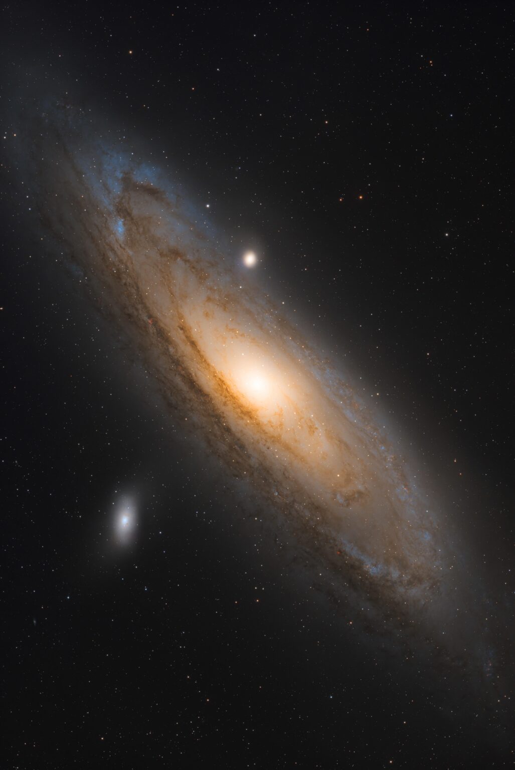 Andromeda Galaxy from 3 sleepless nights in the dark [OC]