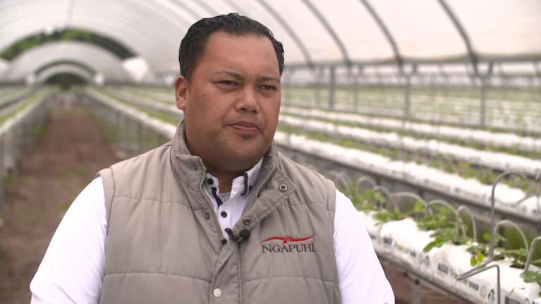 Te Rūnanga ā iwi o Ngāpuhi chairperson Mane Tahere.