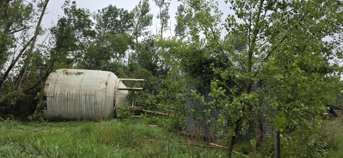 Damaged yard