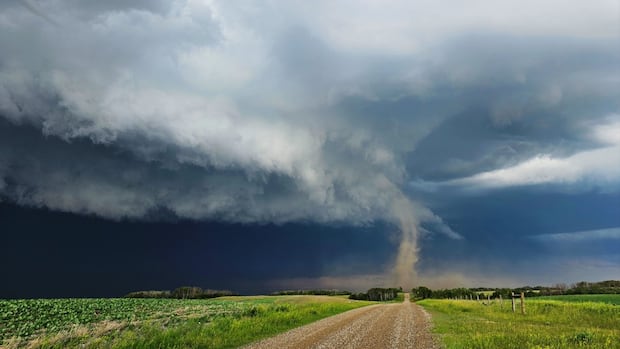 Environment and Climate Change Canada investigating 8 possible tornadoes across Saskatchewan