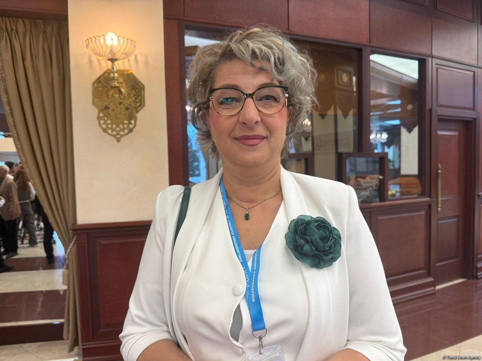 North Macedonia sees strong potential for green energy cooperation with Azerbaijan – MP