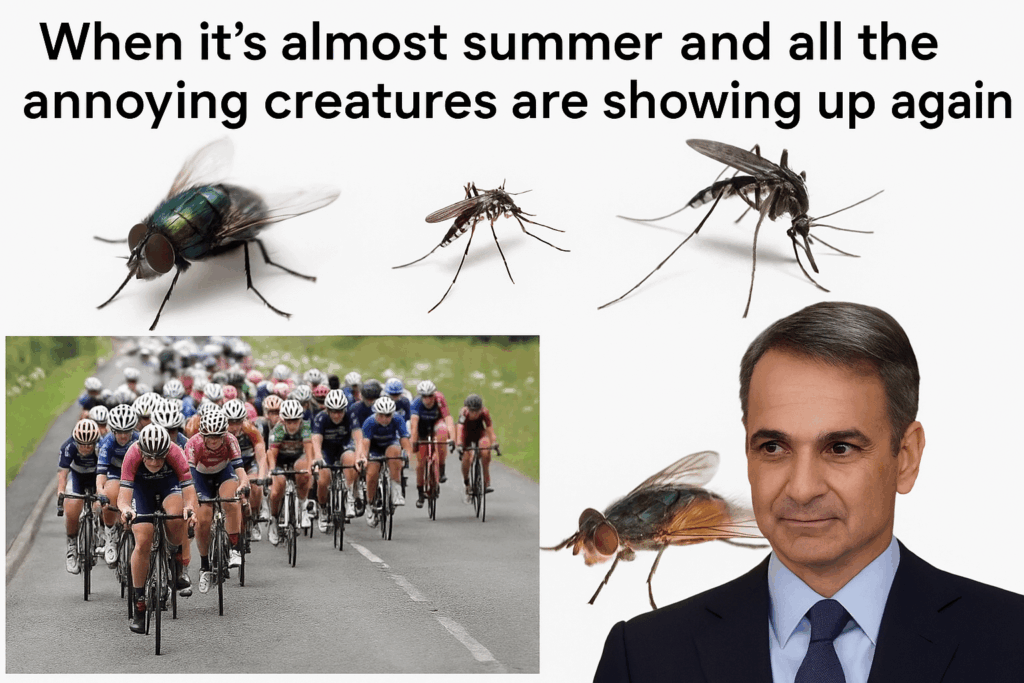 Patience brothers, bora is it will pass