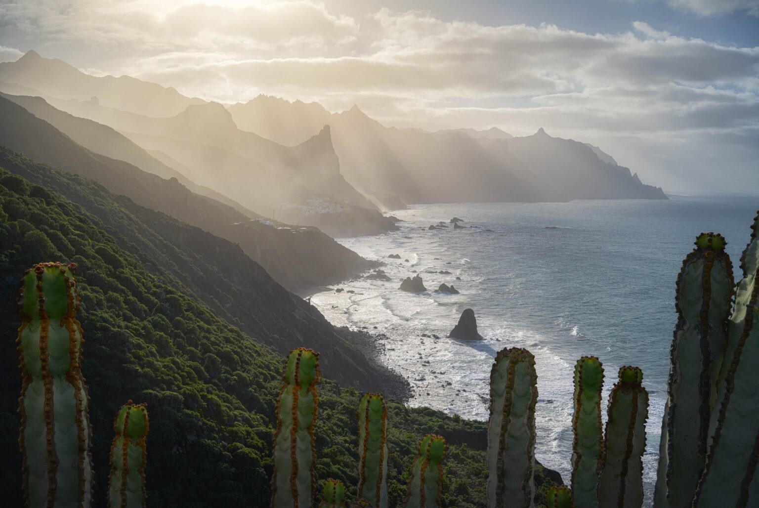 Cardon and the cliffs of Anaga, Tenerife [OC 2000x3000]
