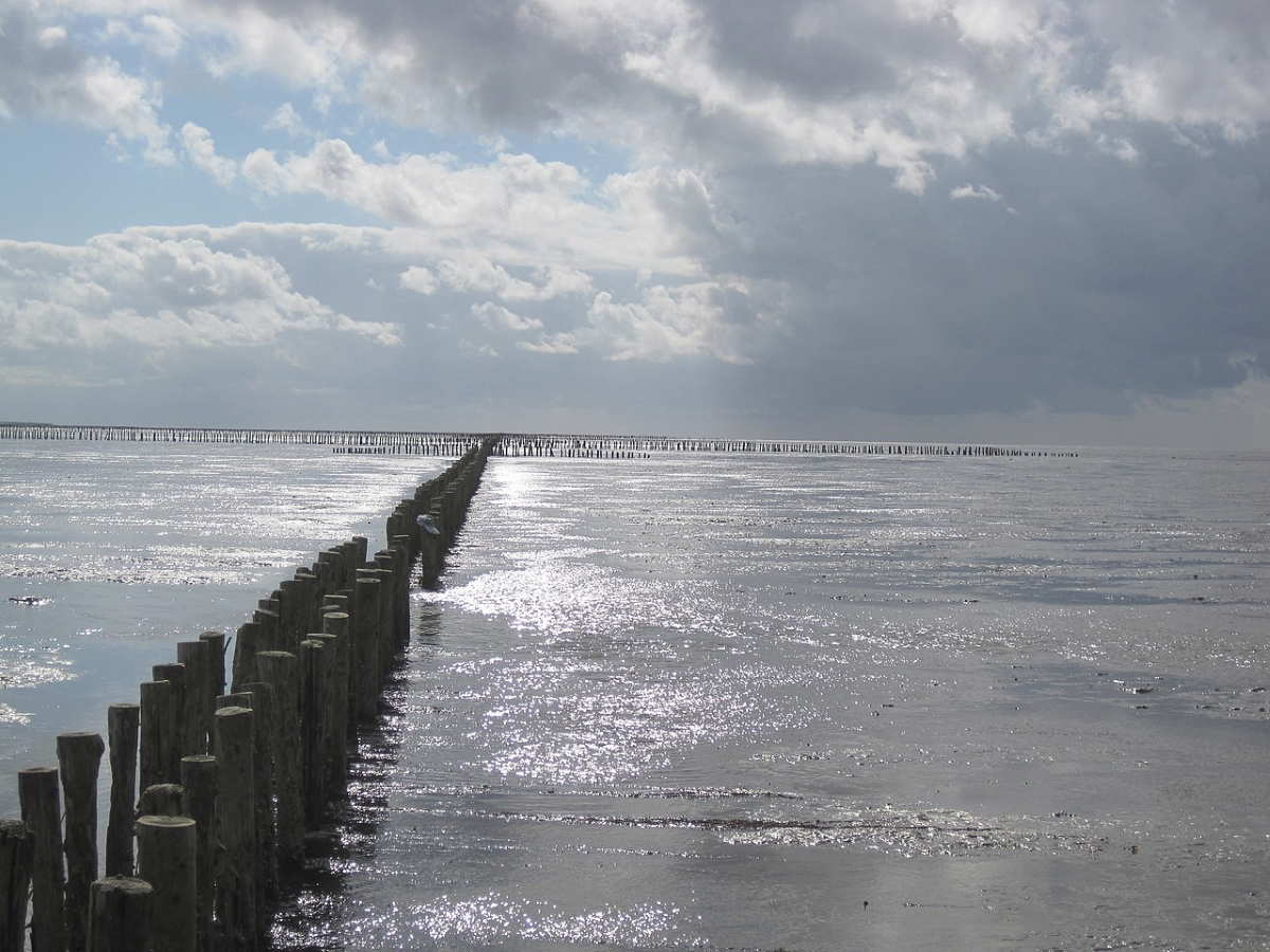 wadden sea near pieterburen netherlands