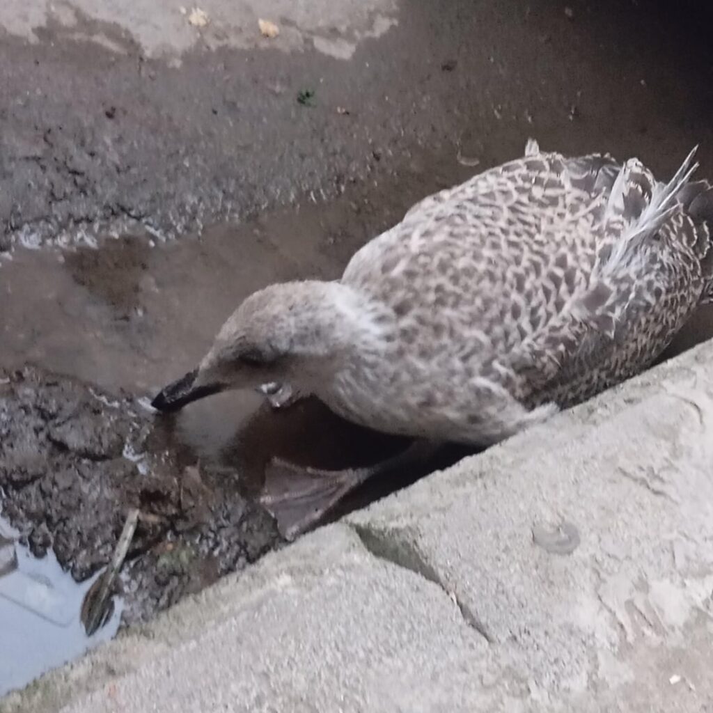 What did I find exactly?