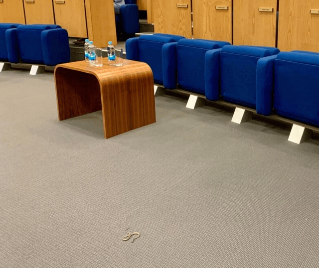 Snake in the Federation Parliament hall