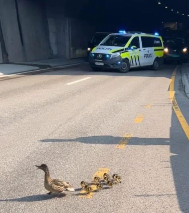 Policework done right in Norway