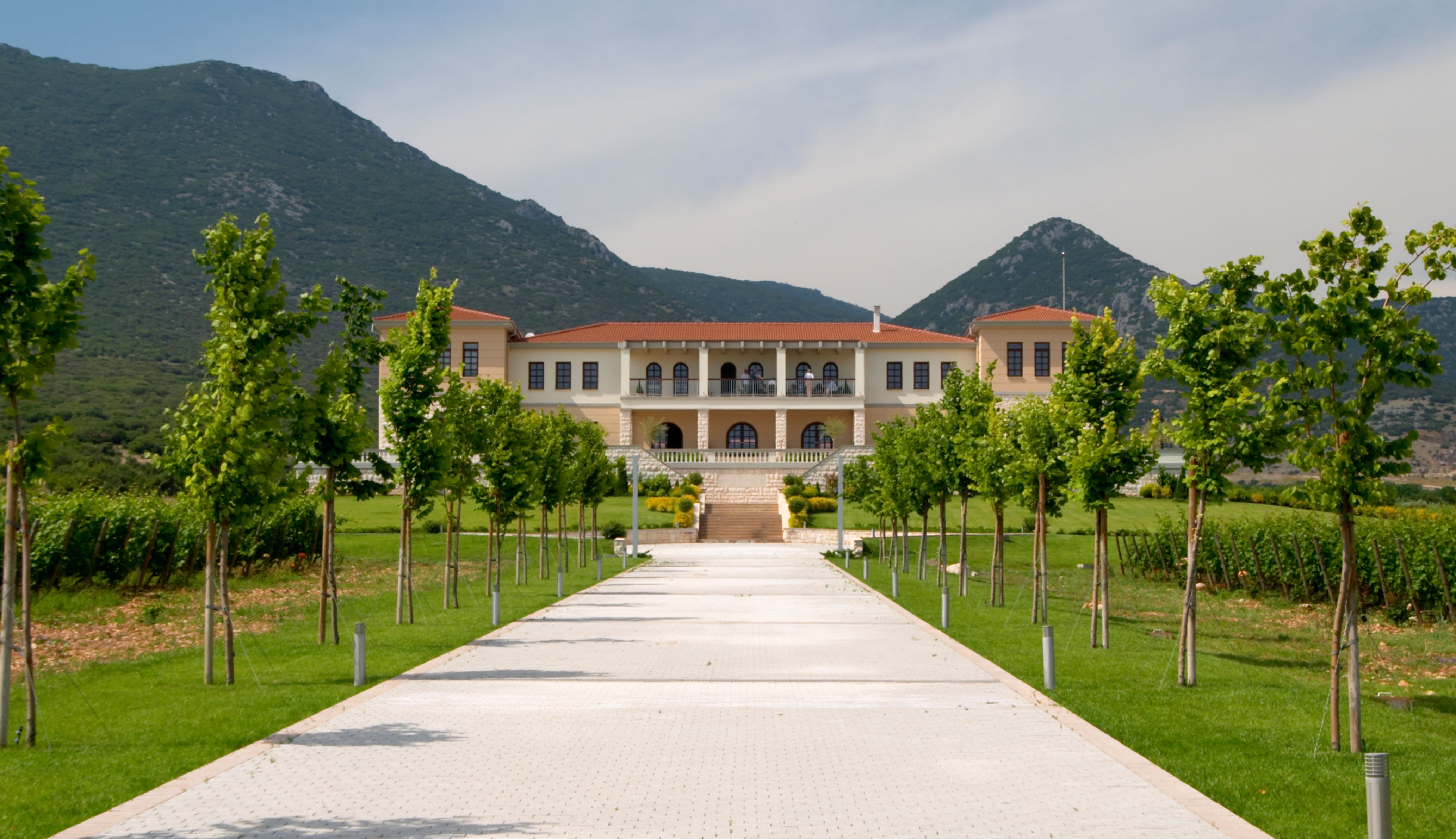 Winery building in vineyard.