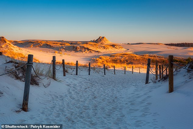 The mountainous dunes in Slowinski National Park, Poland
