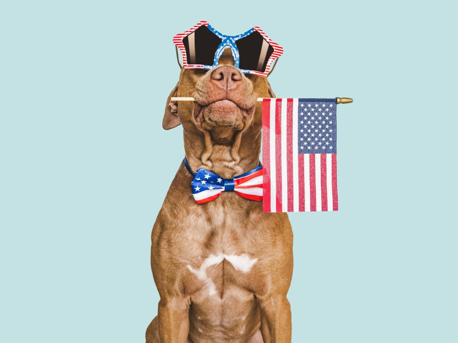 As America celebrates Independence Day, the US economy is powering along
