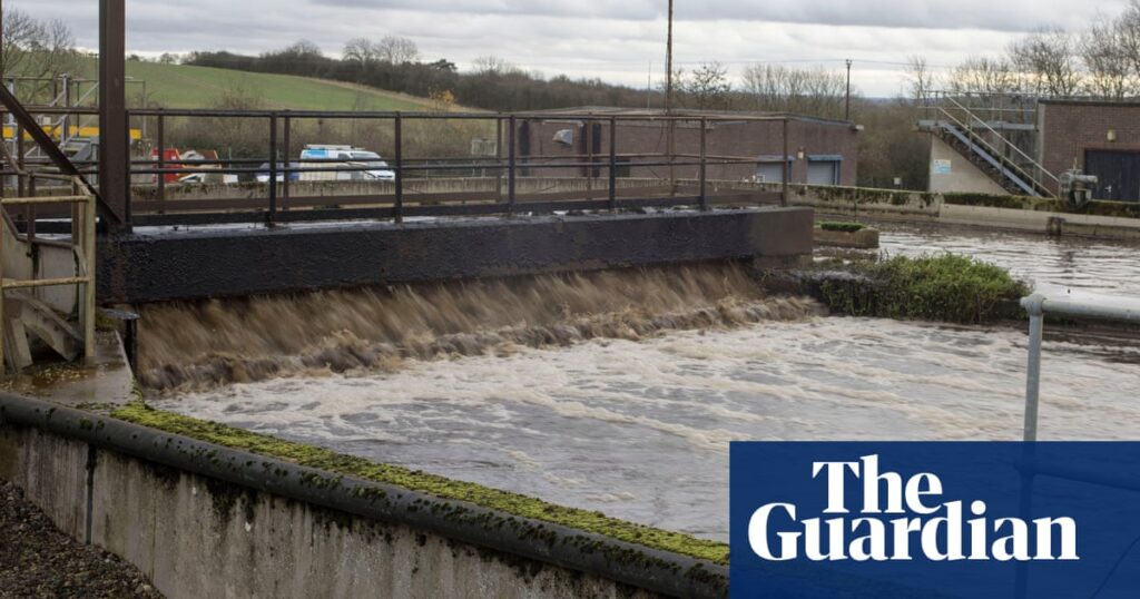 Environment Agency insider alleges ‘cover-up’ over sewage sludge on farmland | Environment Agency